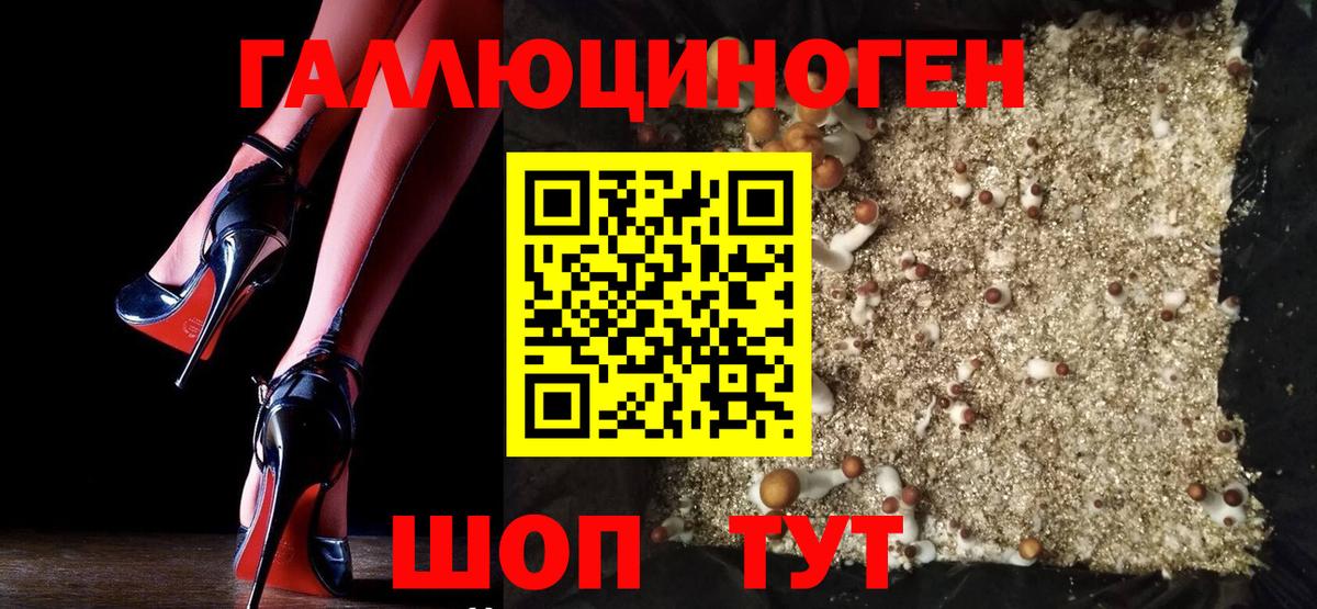 Карталы  Галлюциногенные грибы мухоморы  Вход с VPN 