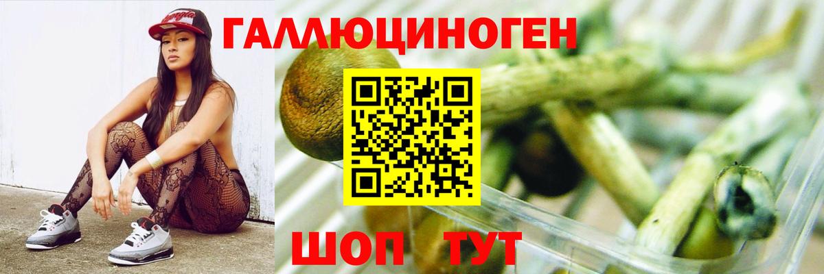 Галлюциногенные грибы Psilocybine cubensis Карталы